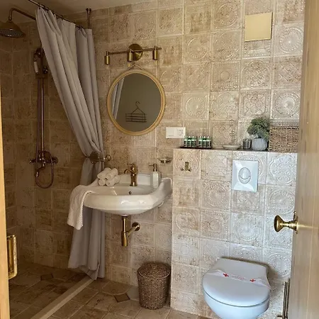 Alma 1910 Старосел